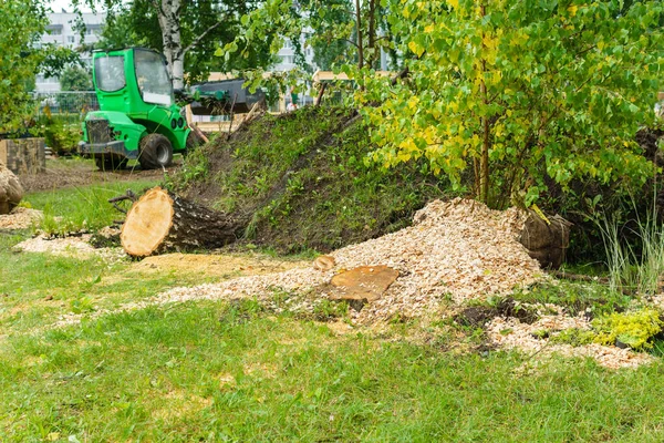 Landscape work after the storm — Stock Photo, Image