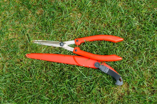 Gardener's tools are on the grass — Stock Photo, Image