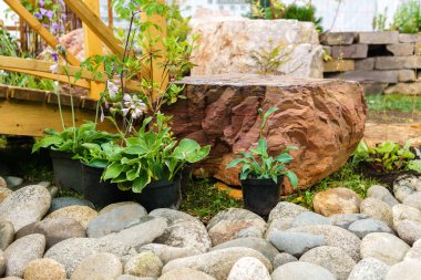 açık zeminde dikim için hazırlanan süs saksı bitkileri