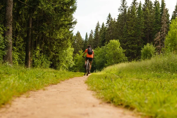 Велосипедист едет по лесной тропе — стоковое фото