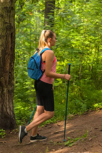 Mujer joven trekking en un bosque de montaña — Foto de Stock