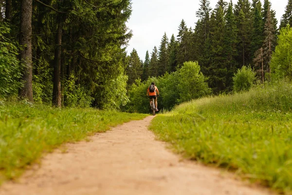 Cyclist rides along a forest path — Stock Photo, Image