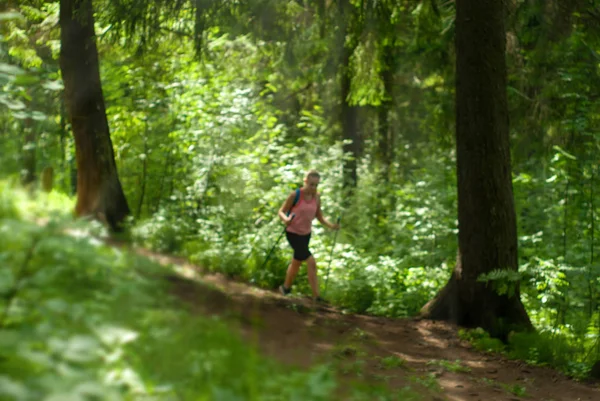 Homályos erdei háttér és körvonalai nő túrázás — Stock Fotó