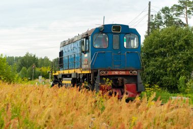 orman ve alan arasında bir demiryolu hattı üzerinde shunting lokomotif