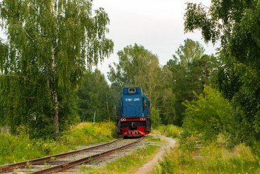 orman arasında bir demiryolu hattı üzerinde shunting lokomotif