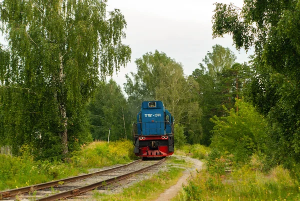 Ατμομηχανή σε σιδηροδρομική γραμμή μεταξύ του δάσους — Φωτογραφία Αρχείου