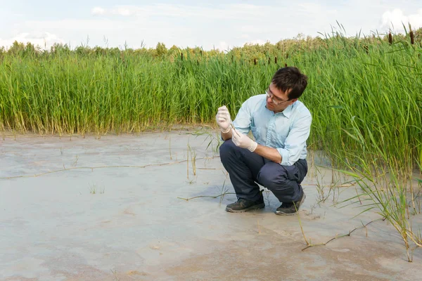 Field researcher biologist examines soil sample in vitro — Stock Photo, Image