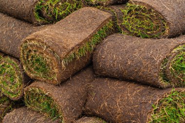 arka plan - çim için haddelenmiş turba rulo yığını