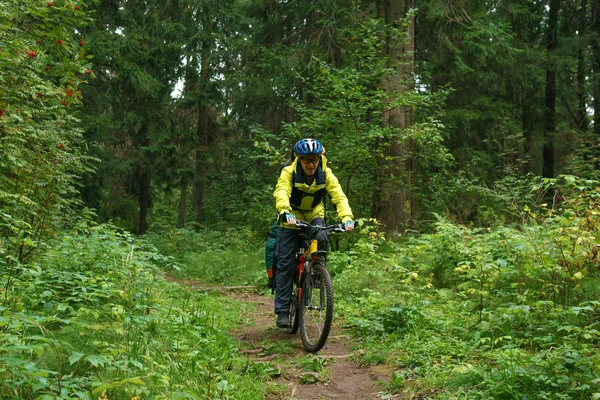 Велосипедист на стежці в гірському лісі — стокове фото