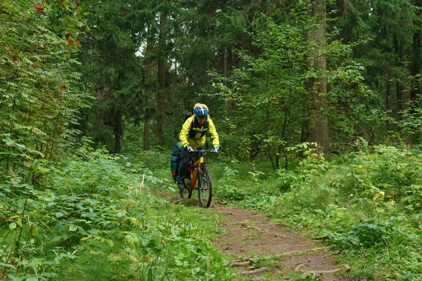 Велосипедист на стежці в гірському лісі — стокове фото