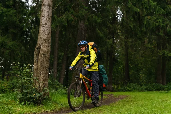 Обладнаний велосипедист на стежці в лісі — стокове фото