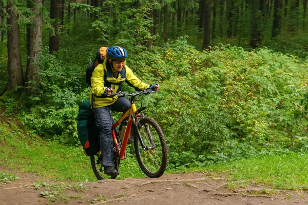 Ciclista cruza un barranco en un bosque de abetos — Foto de Stock