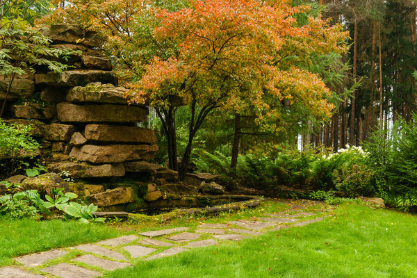 lawn among decorative bushes with a path and artificial rock mad