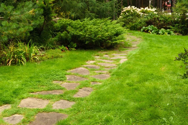 Lawn among decorative bushes with a path made of stone slabs Stock Image