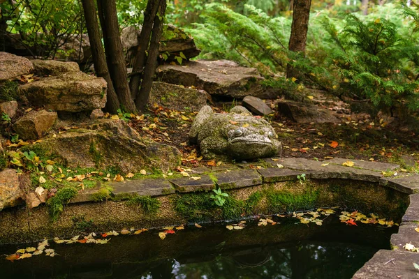 Scultura da giardino in pietra muschiata di un rospo vicino allo stagno — Foto Stock