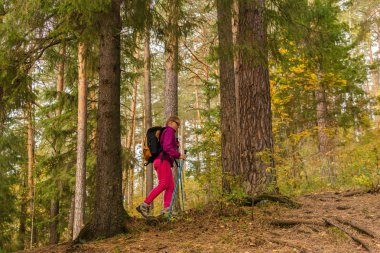 sonbahar ormanında kadın trekking