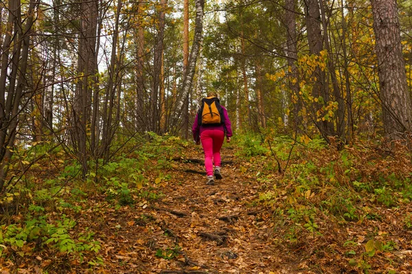 Vrouw reiziger klimt bergopwaarts in herfst bos, uitzicht vanaf het BAC — Stockfoto