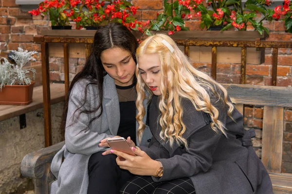 Duas namoradas discutindo algo enquanto olha para um smartp — Fotografia de Stock