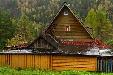 Sonbahar rüzgarlarının arka planına karşı yağmurda ahşap ev