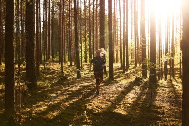 Genç bir kadın sıcak gün ışığında çam ormanında koşuyor.