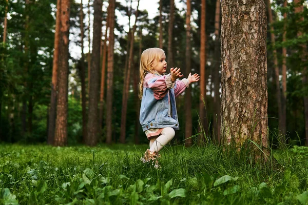 Счастливая Маленькая Девочка Знакомится Природой Сосновом Лесу — стоковое фото