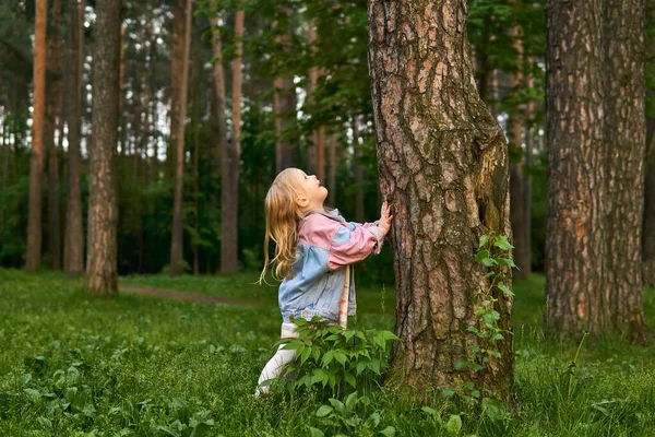 Happy Little Girl Girl Looking Tree Trunk Seeing Bird Squirrel — Stock Photo, Image