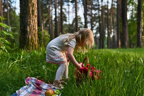 Маленькая Девочка Пикнике Парке Берет Цветы Корзины — стоковое фото