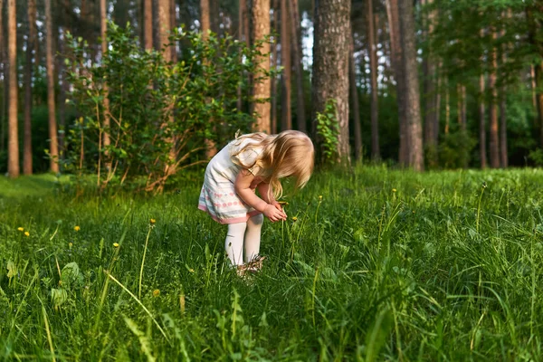 Девочка Лесной Поляне Удивлением Смотрит Цветы Одуванчика — стоковое фото
