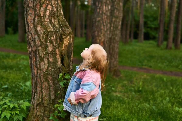 Маленькая Девочка Стоящая Рядом Деревом Смотрит Корону Размытом Естественном Фоне — стоковое фото