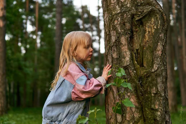 Маленькая Девочка Интересом Исследует Ствол Дерева Время Прогулки Парке Рисунок — стоковое фото