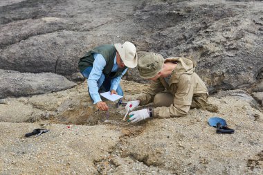 İki paleontolog çölde yerden fosilleşmiş kemik çıkardılar.