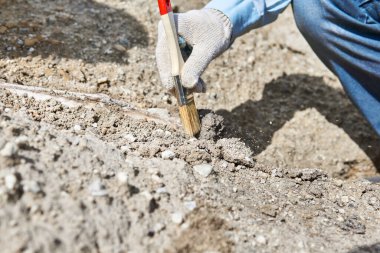 Paleontolojistin eli kum ve taştan fosil kemiğini temizliyor.