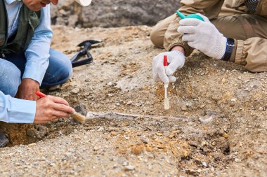 Paleontologların elleri çölde bulunan fosil kemiğini temizliyor.