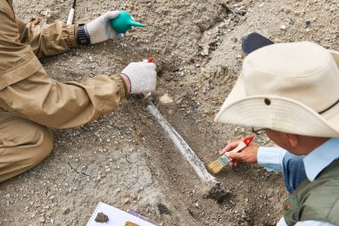 İki paleontolog çölde yerden fosilleşmiş kemik çıkartıp kalıntılara odaklanıyorlar.