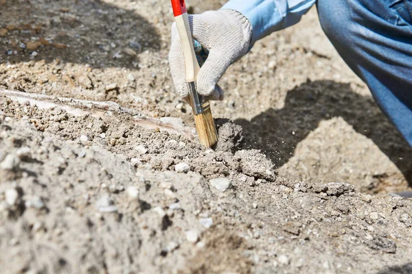 Hand Des Paläontologen Mit Pinsel Reinigt Fossile Knochen Von Sand — Stockfoto