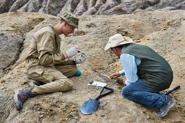 Dos Paleontólogos Extraen Restos Fosilizados Del Suelo Desierto — Foto de Stock