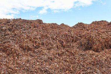 Bir ahşap işçiliğinde kütüklerden çıkartılan parçalanmış ağaç kabuğu yığını, gökyüzüne karşı.
