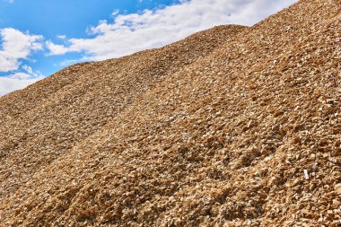Gökyüzüne karşı kocaman taze odun parçaları yığını