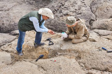 Bir saha gezisinde iki arkeolog veya paleontolojist, kazı yapan kadim kemikleri tartışır.