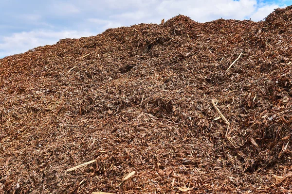 Pila Enorme Corteza Madera Desmenuzada Quitada Los Troncos Carpintería Contra —  Fotos de Stock