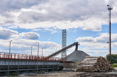 Kütükleri ve taşıyıcıları olan bir ahşap işleme fabrikasının bahçesinde.