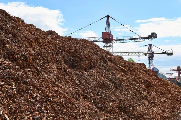 Tumpukan Besar Kayu Robek Kulit Dihapus Dari Log Pabrik Kayu — Stok Foto