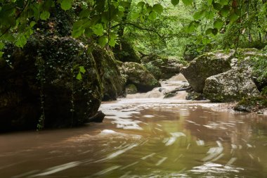 subtropikal bir ormanda yağmurdan sonra çamurlu akarsu hareket halinde bulanıklaşır.