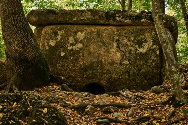 Antik megalith dolmenleri ağaçların arasında bir sonbahar koruluğunda akşam ışığında