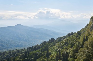 Ormanlık dağ manzarası Sabah sisi ve bulutlarıyla