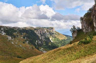 Dağ manzarası güneşli bir günde kireçtaşı kayalıkları olan geniş ormanlık bir vadi.