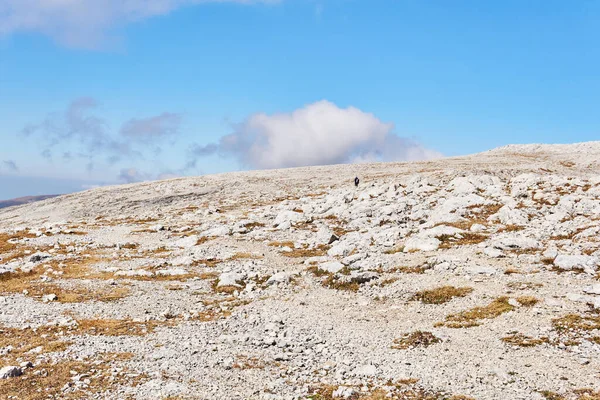 乾燥した草や白い石で覆われた高山高原と数人の旅行者が — ストック写真