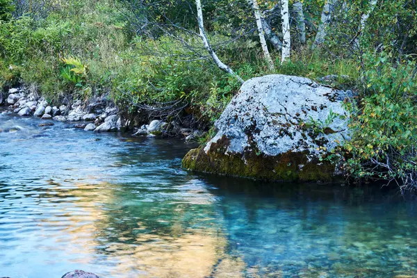 Bachbecken Einem Kleinen Gebirgsfluss Mit Einem Schönen Felsen Mit Birken — Stockfoto