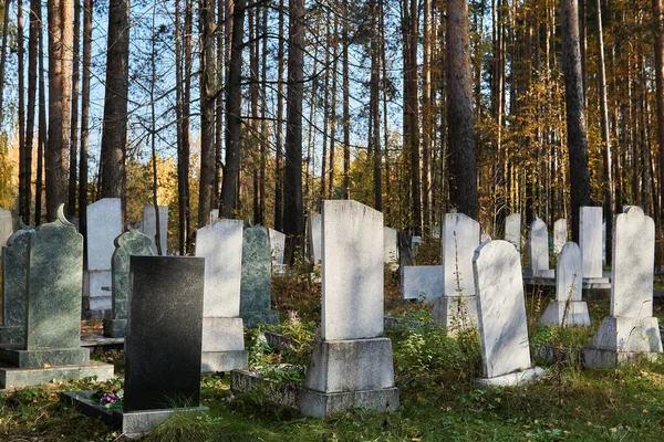 Vecchio Cimitero Autunnale Con Lapidi Pietra Sotto Pini — Foto Stock