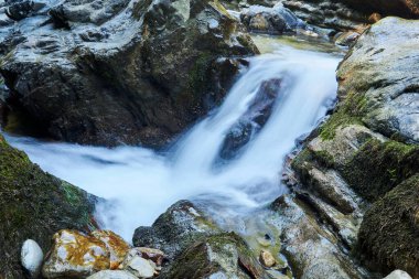 Kayaların arasındaki bir derede küçük bir şelale, su jetleri hareket halinde bulanıklaşır.